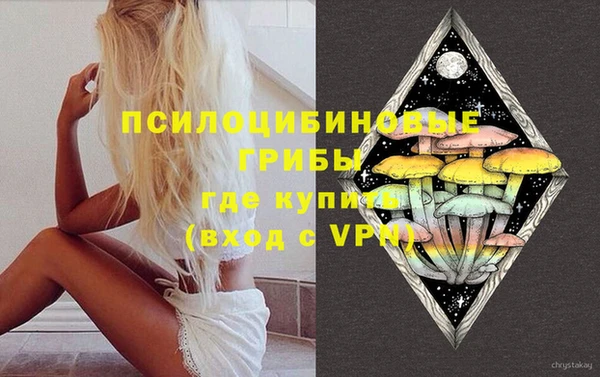 дмт Верея