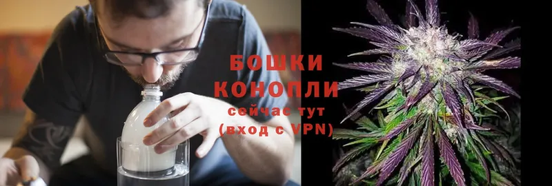 Бошки Шишки OG Kush  магазин  наркотиков  Рыбное 